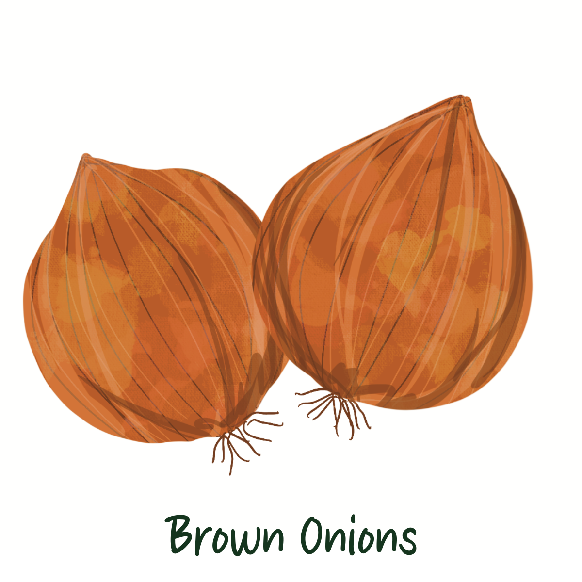 Organic Brown Onions