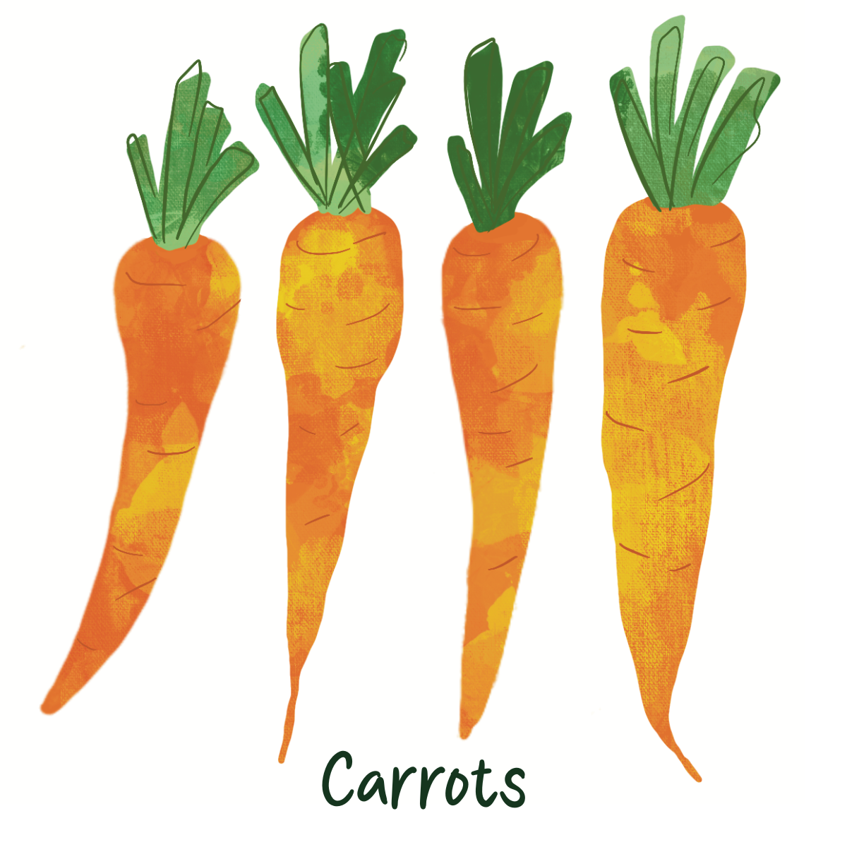 Organic Carrots