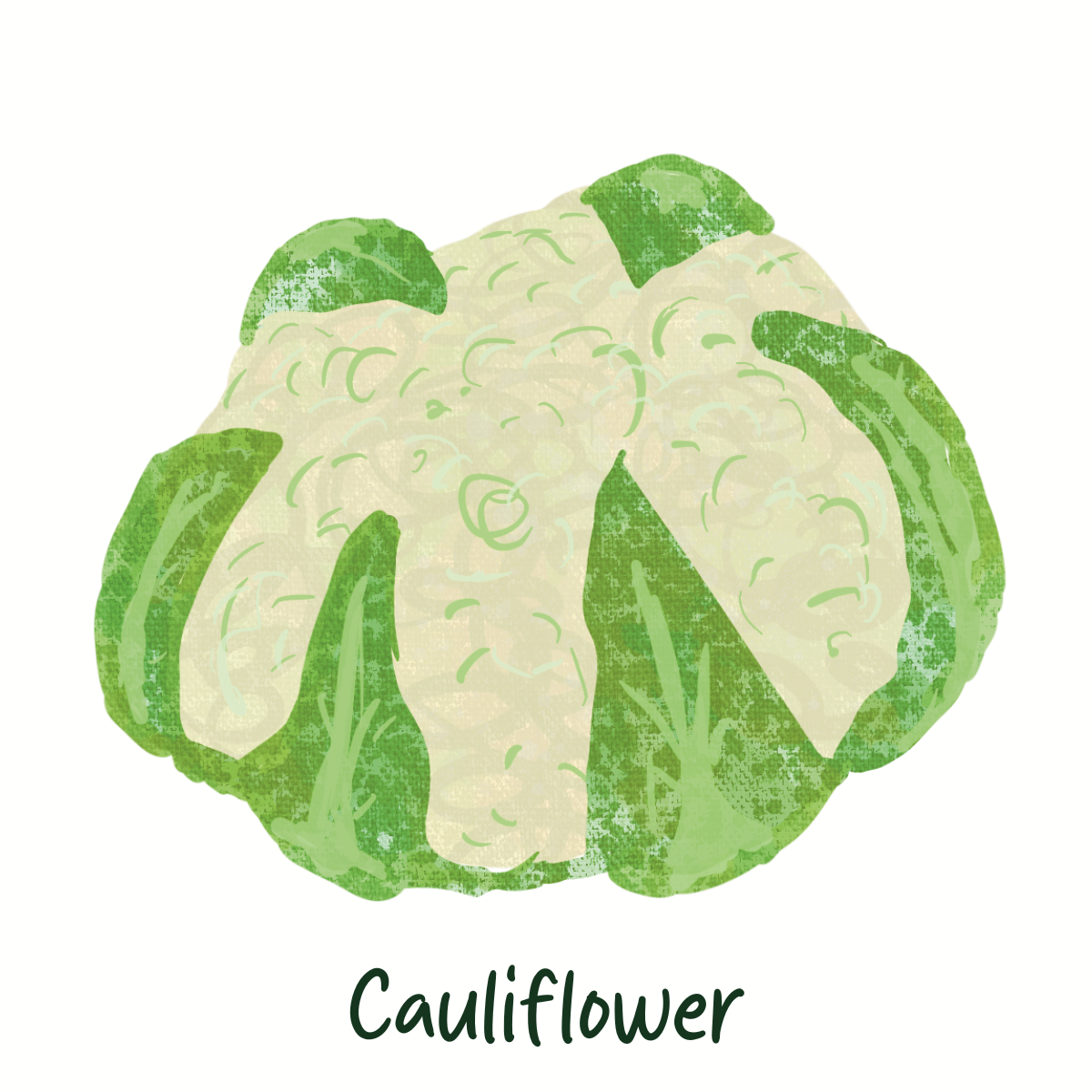 Organic  Cauliflower