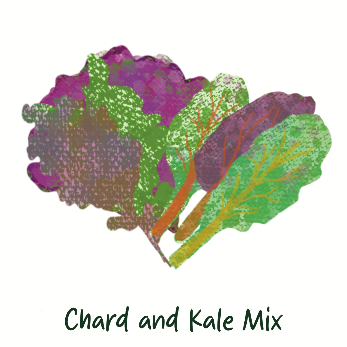 Chemical Free Chard and Kale Mix
