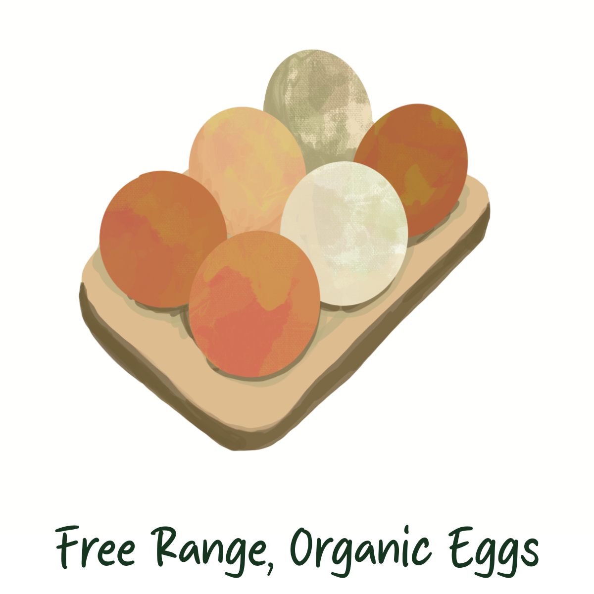 Organic, Free Range Eggs