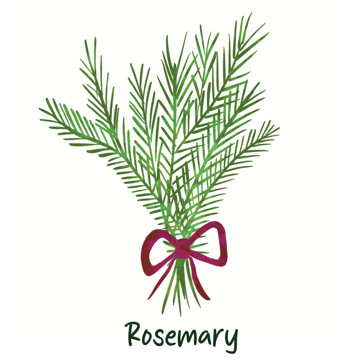 Chemical Free Rosemary