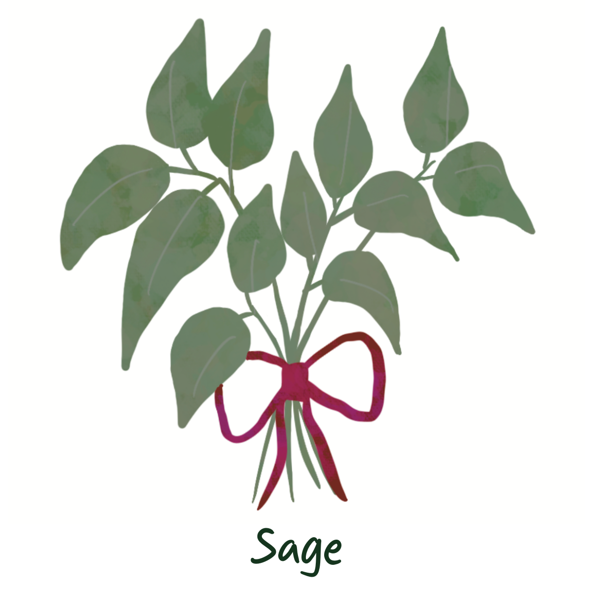 Chemical Free Sage